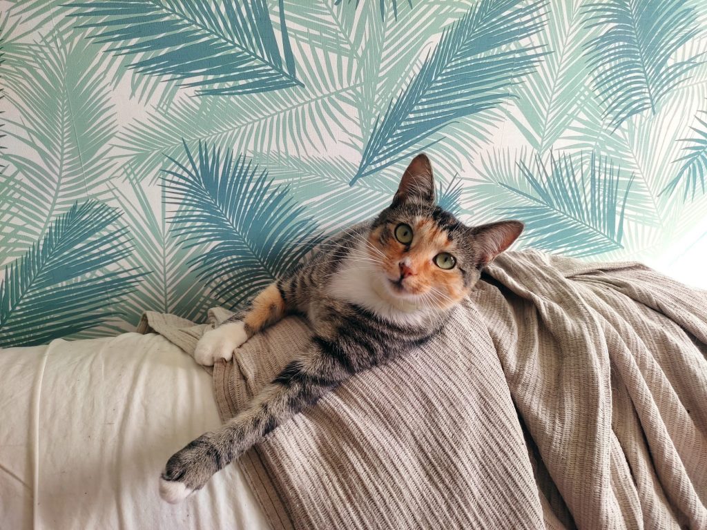 Athena